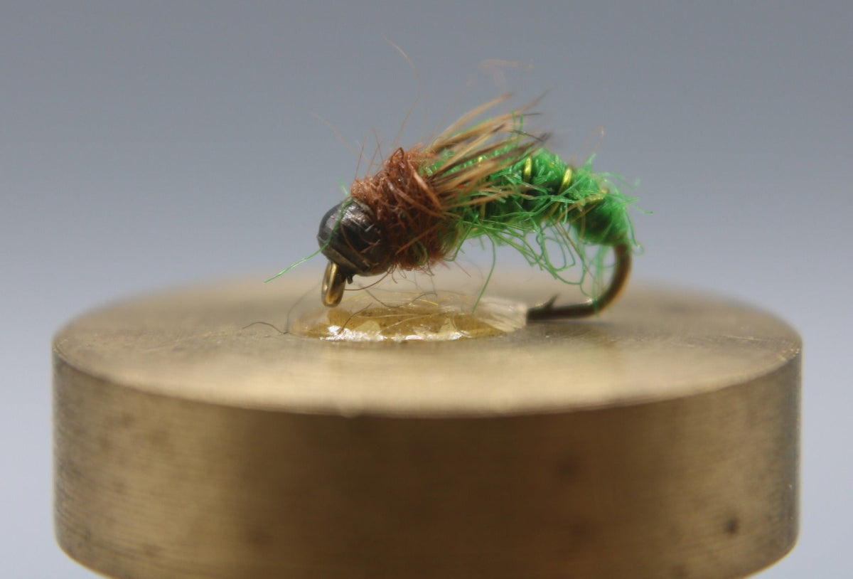 Tungsten Bead Head Caddis Pupa – Risen Fly